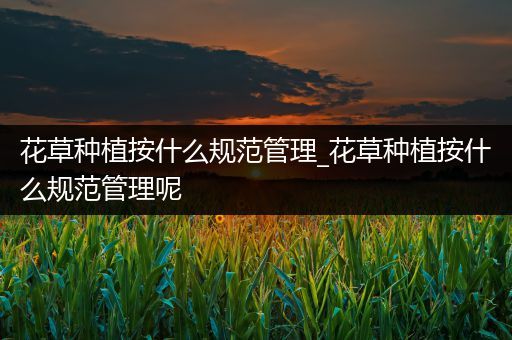 花草种植按什么规范管理_花草种植按什么规范管理呢