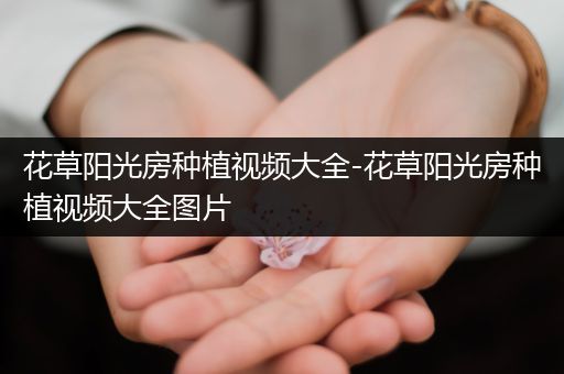 花草阳光房种植视频大全-花草阳光房种植视频大全图片