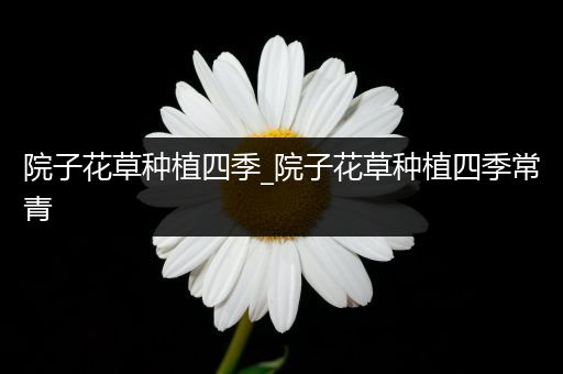 院子花草种植四季_院子花草种植四季常青