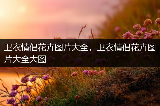 卫衣情侣花卉图片大全，卫衣情侣花卉图片大全大图