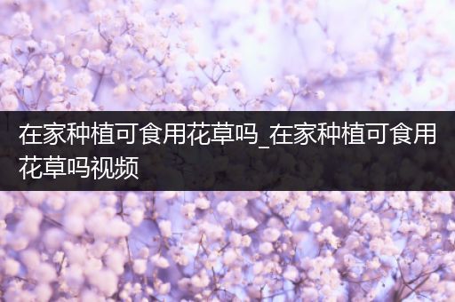 在家种植可食用花草吗_在家种植可食用花草吗视频
