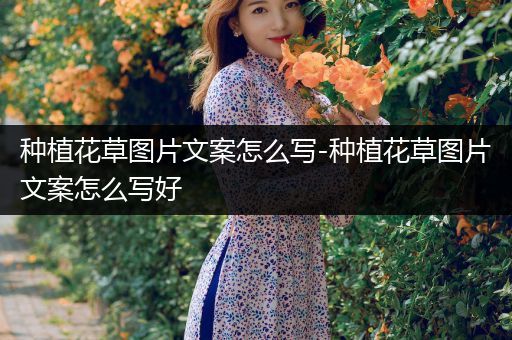 种植花草图片文案怎么写-种植花草图片文案怎么写好