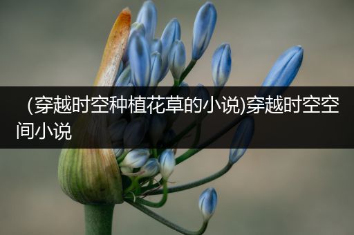 （穿越时空种植花草的小说)穿越时空空间小说
