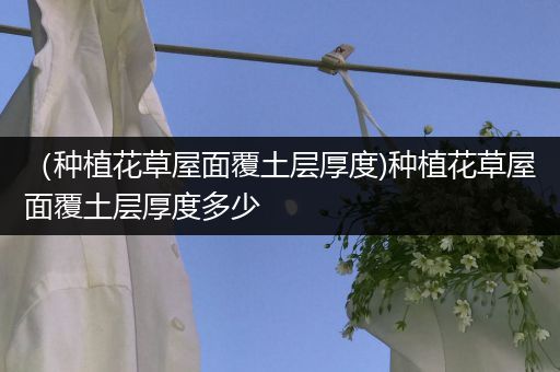 （种植花草屋面覆土层厚度)种植花草屋面覆土层厚度多少