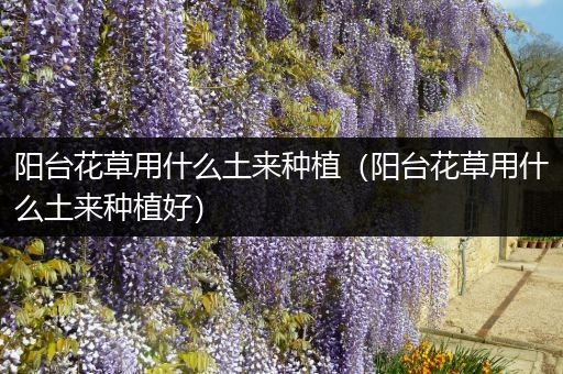 阳台花草用什么土来种植（阳台花草用什么土来种植好）