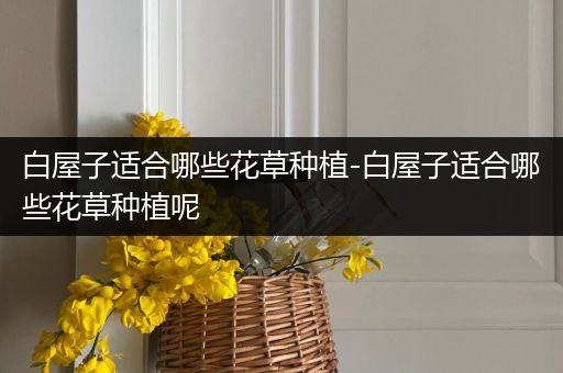 白屋子适合哪些花草种植-白屋子适合哪些花草种植呢