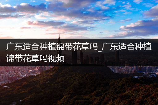 广东适合种植锦带花草吗_广东适合种植锦带花草吗视频