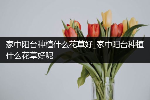 家中阳台种植什么花草好_家中阳台种植什么花草好呢