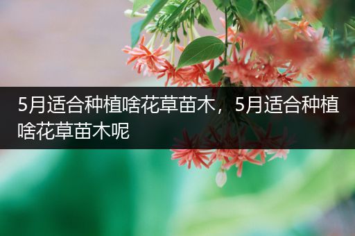 5月适合种植啥花草苗木，5月适合种植啥花草苗木呢