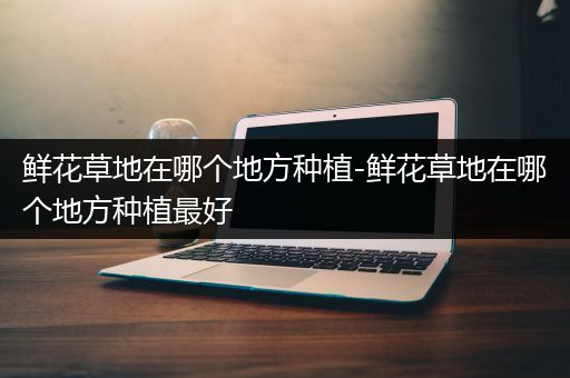 鲜花草地在哪个地方种植-鲜花草地在哪个地方种植最好