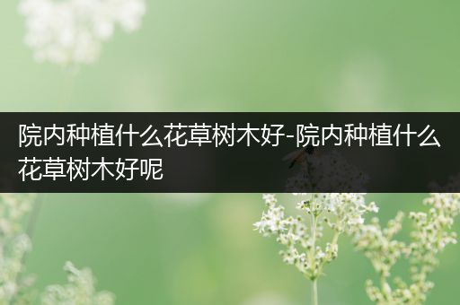 院内种植什么花草树木好-院内种植什么花草树木好呢