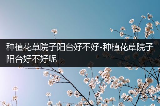 种植花草院子阳台好不好-种植花草院子阳台好不好呢