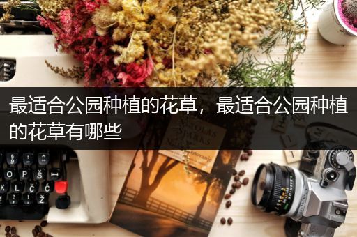 最适合公园种植的花草，最适合公园种植的花草有哪些