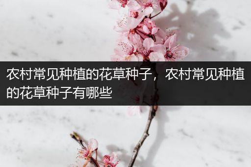 农村常见种植的花草种子，农村常见种植的花草种子有哪些