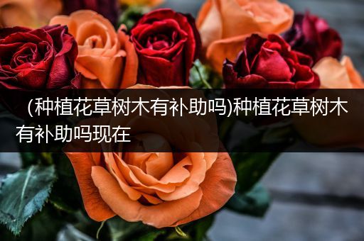 （种植花草树木有补助吗)种植花草树木有补助吗现在