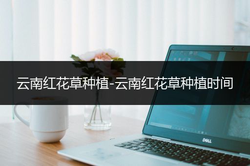 云南红花草种植-云南红花草种植时间