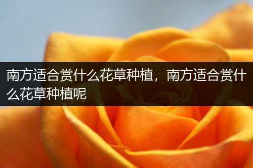 南方适合赏什么花草种植，南方适合赏什么花草种植呢
