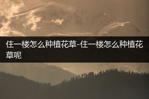 住一楼怎么种植花草-住一楼怎么种植花草呢