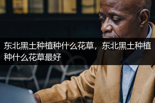 东北黑土种植种什么花草，东北黑土种植种什么花草最好