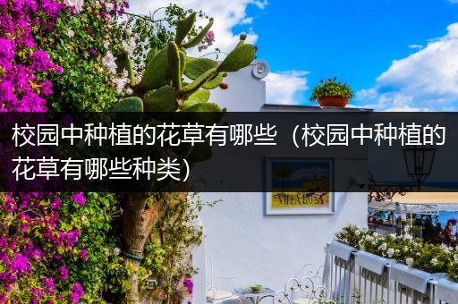 校园中种植的花草有哪些（校园中种植的花草有哪些种类）