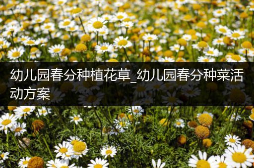 幼儿园春分种植花草_幼儿园春分种菜活动方案
