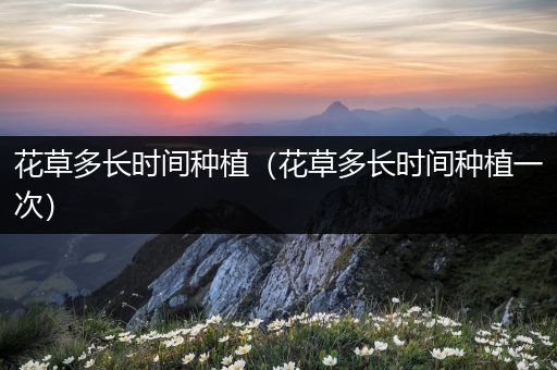花草多长时间种植（花草多长时间种植一次）