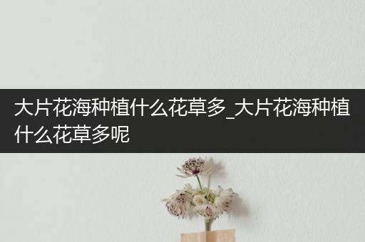 大片花海种植什么花草多_大片花海种植什么花草多呢