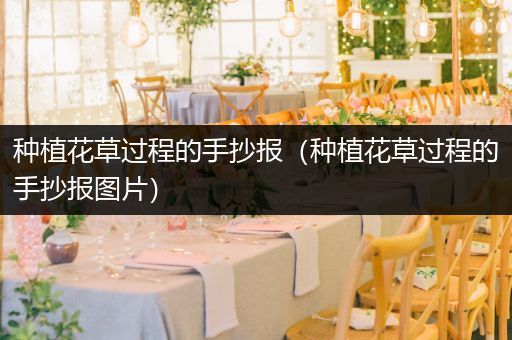 种植花草过程的手抄报（种植花草过程的手抄报图片）