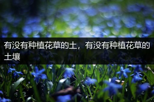 有没有种植花草的土，有没有种植花草的土壤