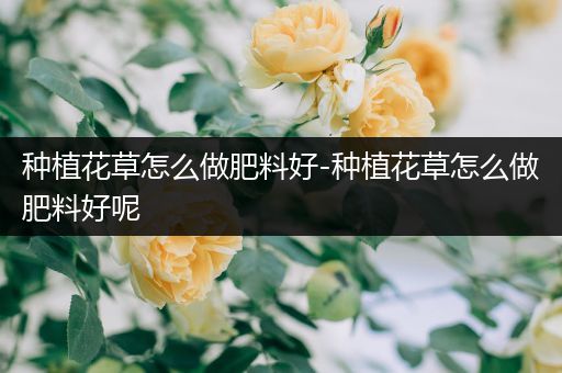 种植花草怎么做肥料好-种植花草怎么做肥料好呢