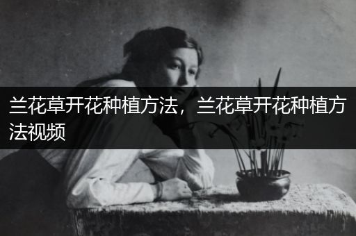 兰花草开花种植方法，兰花草开花种植方法视频