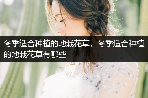 冬季适合种植的地栽花草，冬季适合种植的地栽花草有哪些