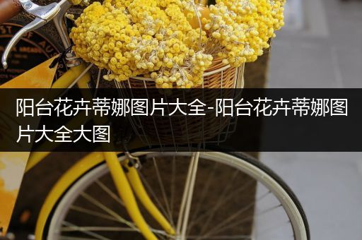 阳台花卉蒂娜图片大全-阳台花卉蒂娜图片大全大图