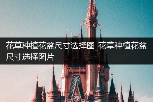 花草种植花盆尺寸选择图_花草种植花盆尺寸选择图片