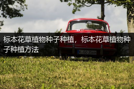 标本花草植物种子种植，标本花草植物种子种植方法