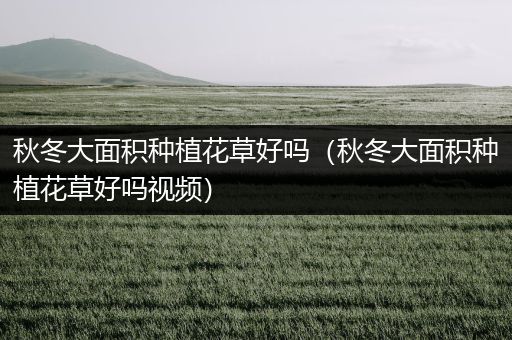 秋冬大面积种植花草好吗（秋冬大面积种植花草好吗视频）
