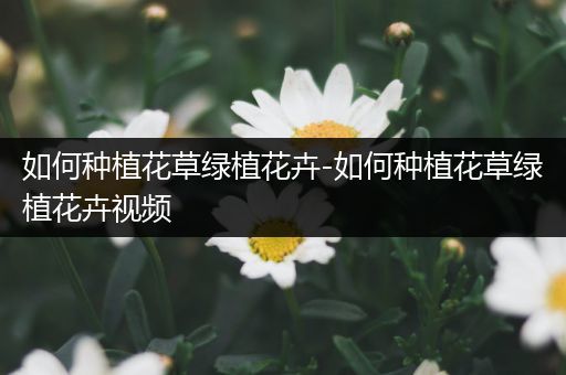 如何种植花草绿植花卉-如何种植花草绿植花卉视频