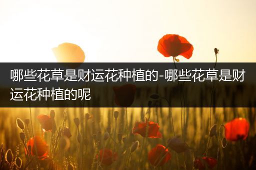 哪些花草是财运花种植的-哪些花草是财运花种植的呢