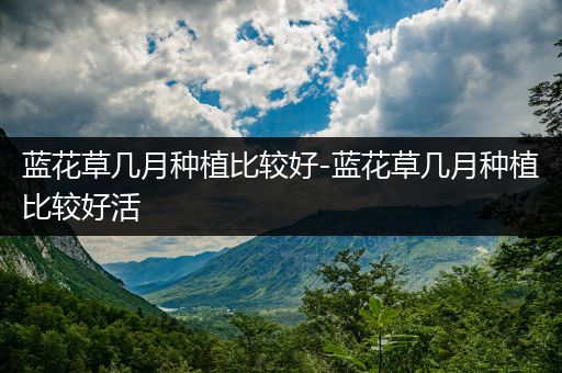 蓝花草几月种植比较好-蓝花草几月种植比较好活