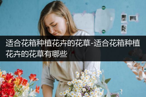 适合花箱种植花卉的花草-适合花箱种植花卉的花草有哪些