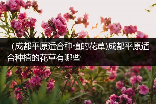 （成都平原适合种植的花草)成都平原适合种植的花草有哪些