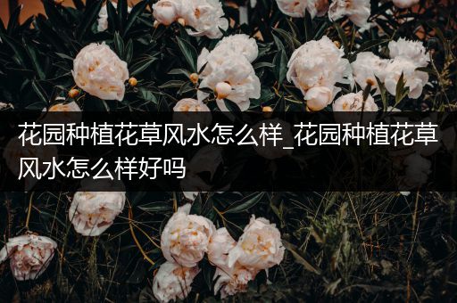 花园种植花草风水怎么样_花园种植花草风水怎么样好吗