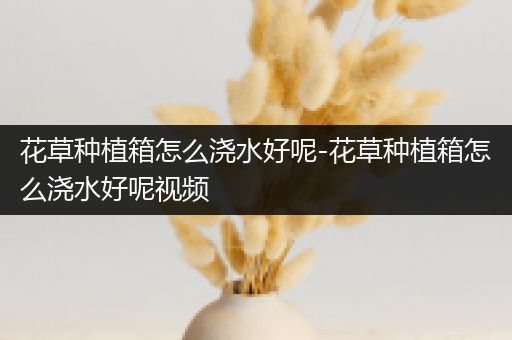 花草种植箱怎么浇水好呢-花草种植箱怎么浇水好呢视频