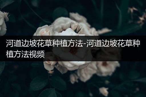 河道边坡花草种植方法-河道边坡花草种植方法视频