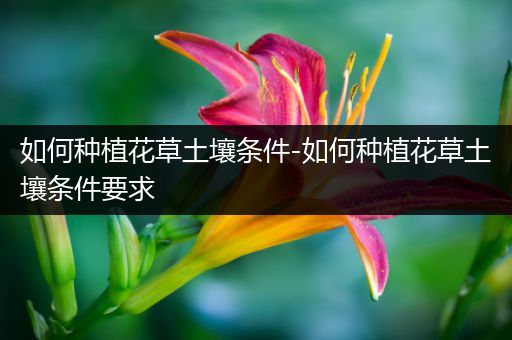 如何种植花草土壤条件-如何种植花草土壤条件要求