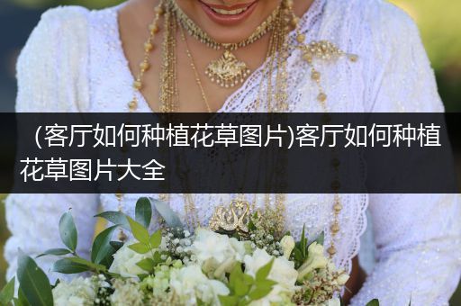（客厅如何种植花草图片)客厅如何种植花草图片大全