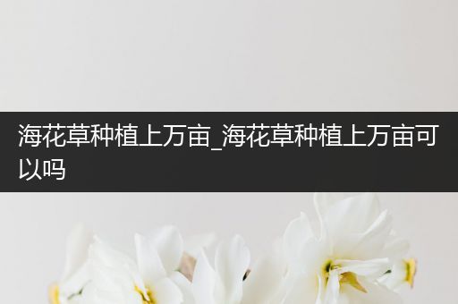 海花草种植上万亩_海花草种植上万亩可以吗
