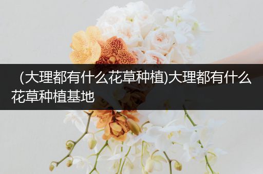 （大理都有什么花草种植)大理都有什么花草种植基地
