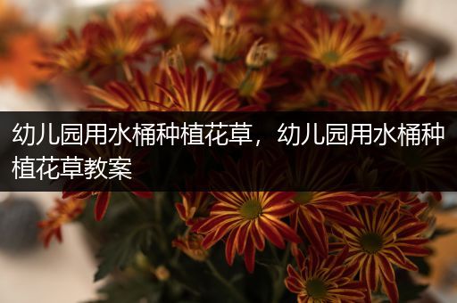 幼儿园用水桶种植花草，幼儿园用水桶种植花草教案