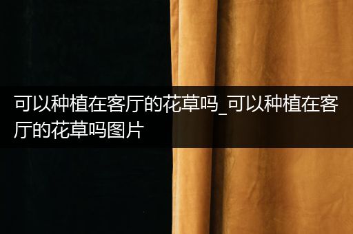 可以种植在客厅的花草吗_可以种植在客厅的花草吗图片